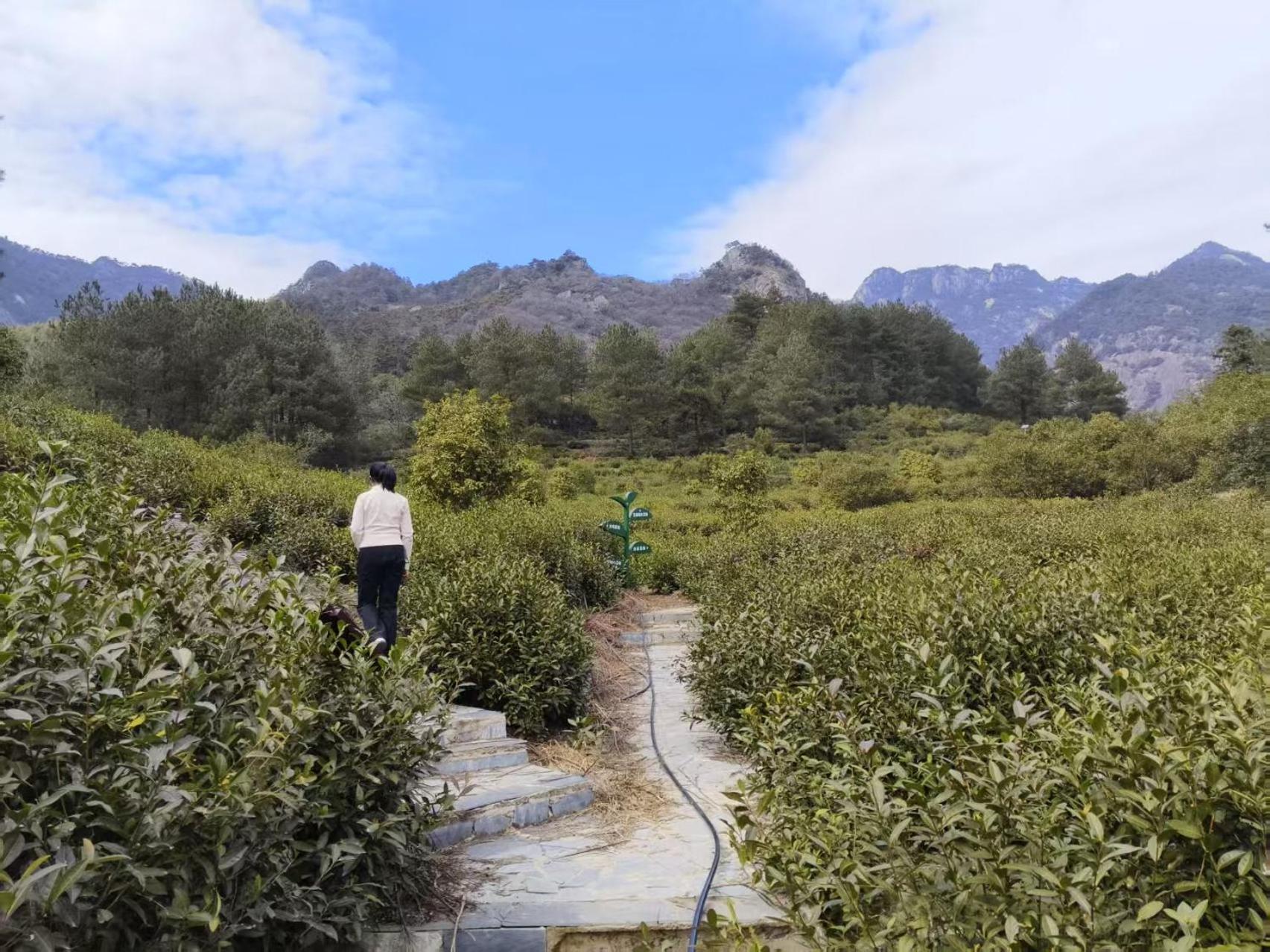 Yunshan Villa Huang Shan Buitenkant foto